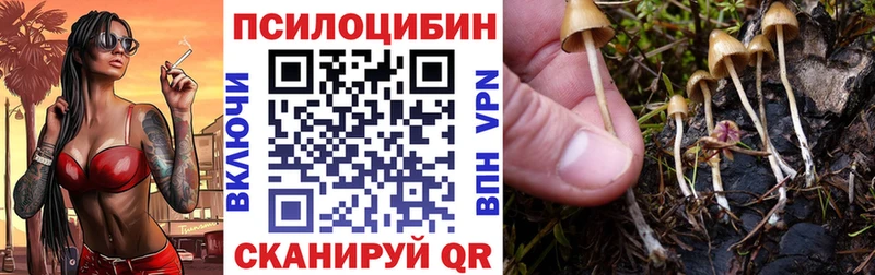 Галлюциногенные грибы MAGIC MUSHROOMS  магазин продажи наркотиков  Сольцы 